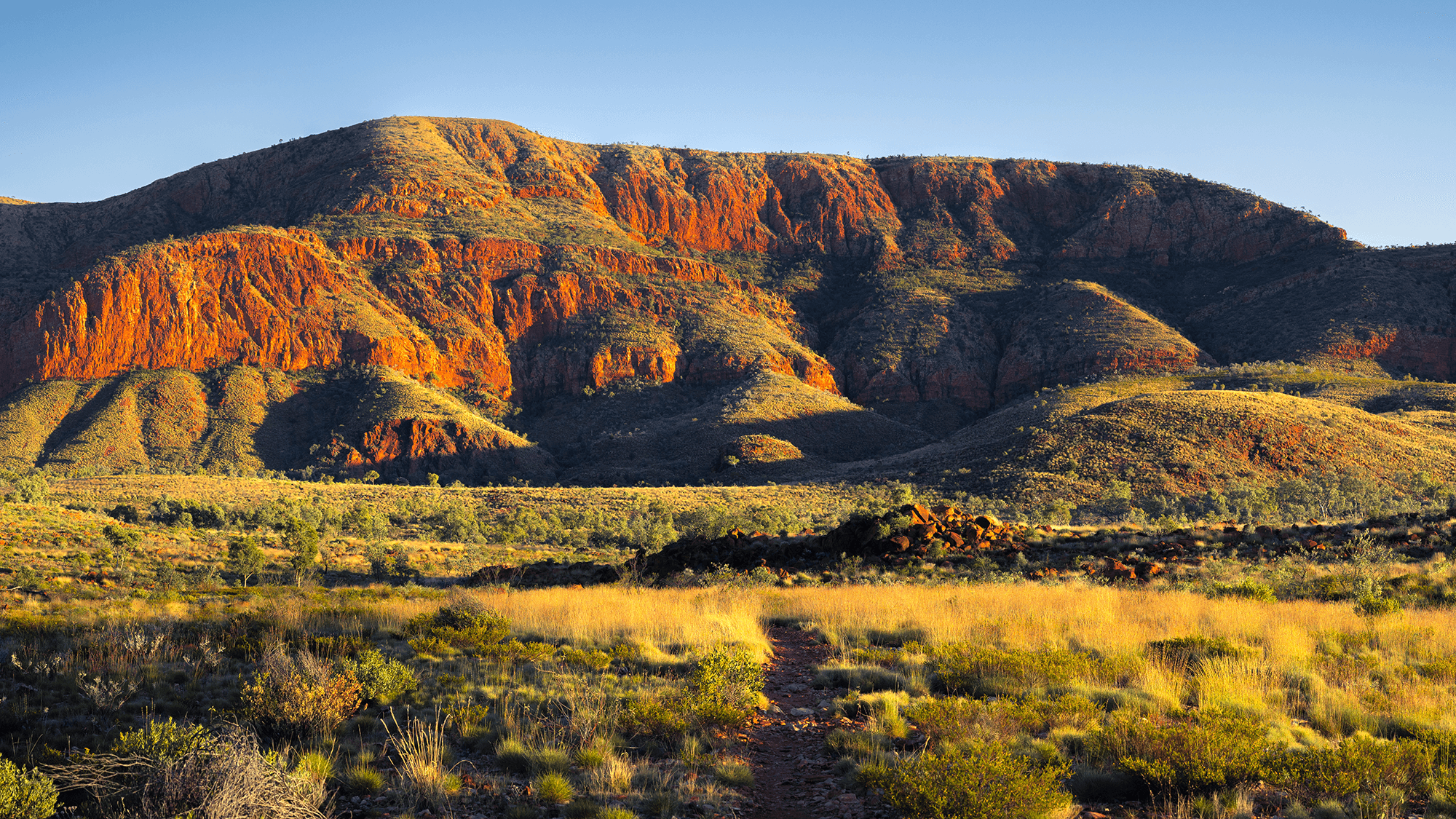 See how we help all retailers.